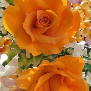 Meet your Posher, Ramirez